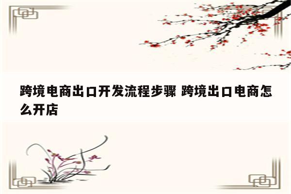 跨境电商出口开发流程步骤 跨境出口电商怎么开店