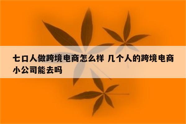 七口人做跨境电商怎么样 几个人的跨境电商小公司能去吗