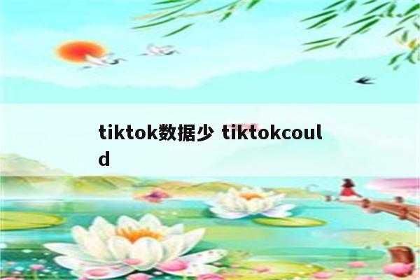 tiktok数据少 tiktokcould