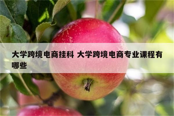 大学跨境电商挂科 大学跨境电商专业课程有哪些