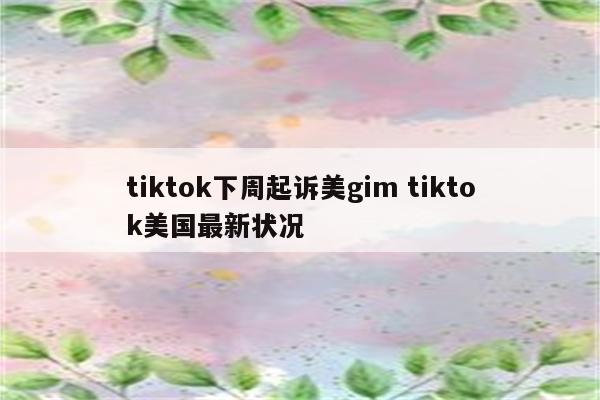 tiktok下周起诉美gim tiktok美国最新状况