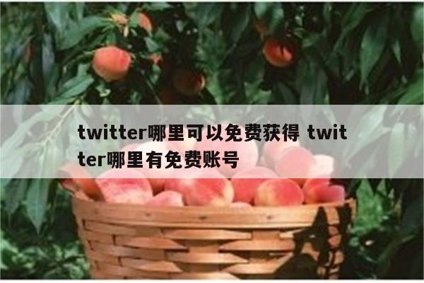 twitter哪里可以免费获得 twitter哪里有免费账号
