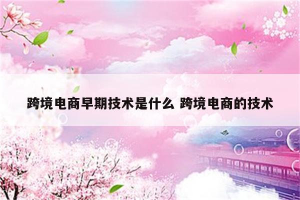 跨境电商早期技术是什么 跨境电商的技术