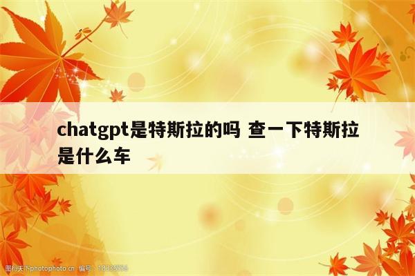 chatgpt是特斯拉的吗 查一下特斯拉是什么车