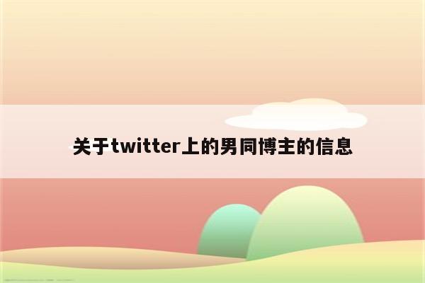 关于twitter上的男同博主的信息