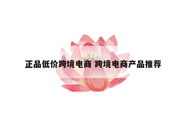 正品低价跨境电商 跨境电商产品推荐