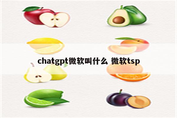 chatgpt微软叫什么 微软tsp