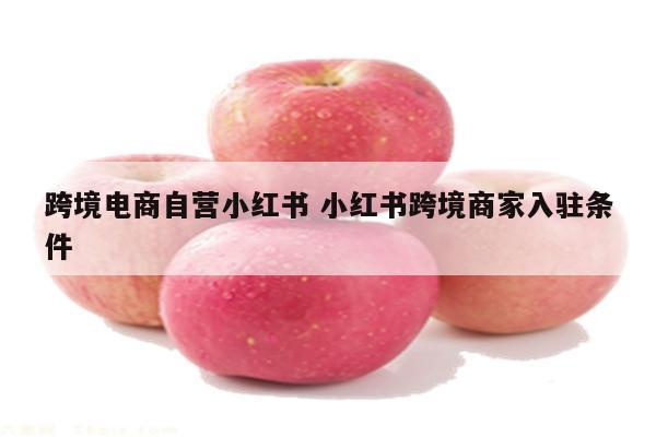 跨境电商自营小红书 小红书跨境商家入驻条件