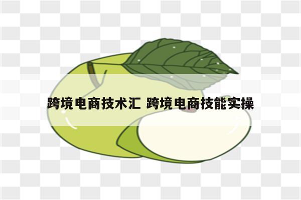 跨境电商技术汇 跨境电商技能实操