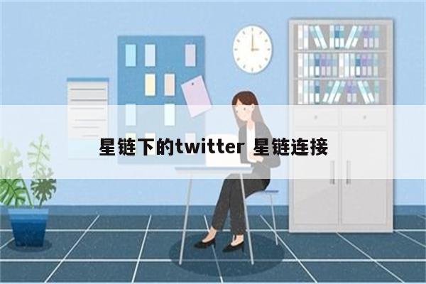 星链下的twitter 星链连接
