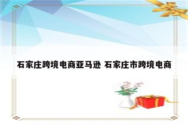 石家庄跨境电商亚马逊 石家庄市跨境电商