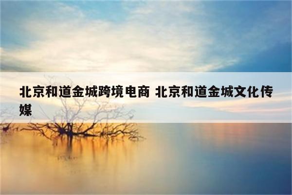 北京和道金城跨境电商 北京和道金城文化传媒
