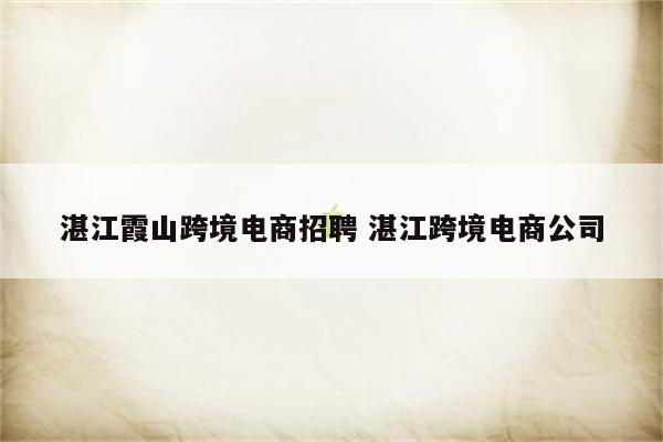 湛江霞山跨境电商招聘 湛江跨境电商公司