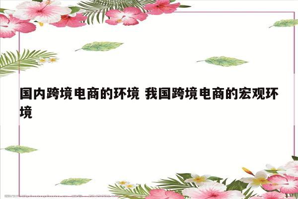 国内跨境电商的环境 我国跨境电商的宏观环境