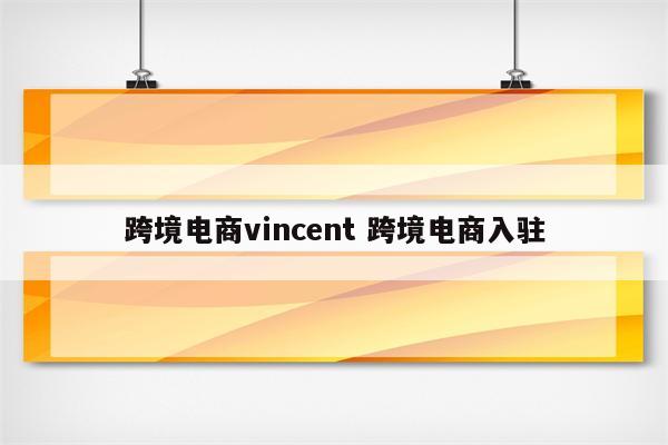 跨境电商vincent 跨境电商入驻