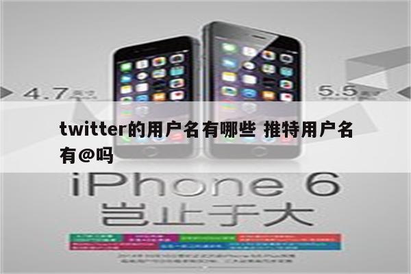 twitter的用户名有哪些 推特用户名有@吗