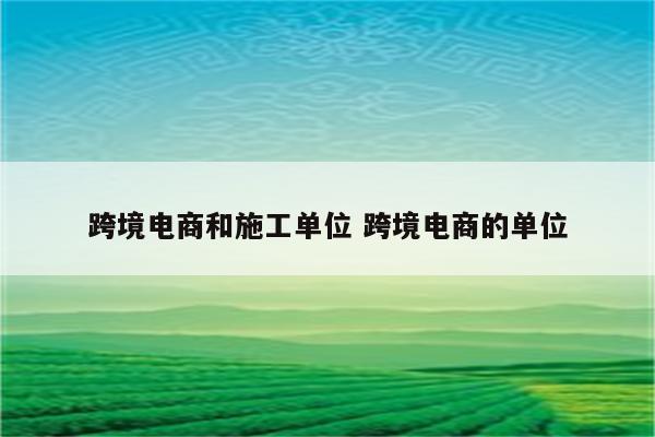 跨境电商和施工单位 跨境电商的单位