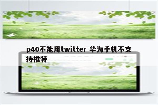 p40不能用twitter 华为手机不支持推特