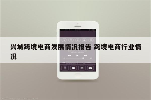 兴城跨境电商发展情况报告 跨境电商行业情况