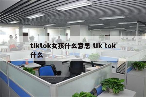 tiktok女孩什么意思 tik tok什么