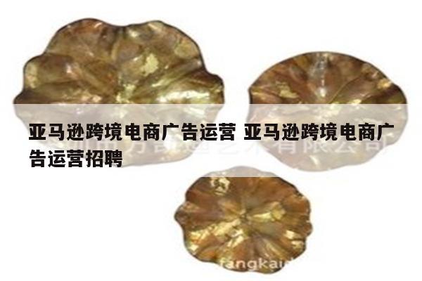 亚马逊跨境电商广告运营 亚马逊跨境电商广告运营招聘