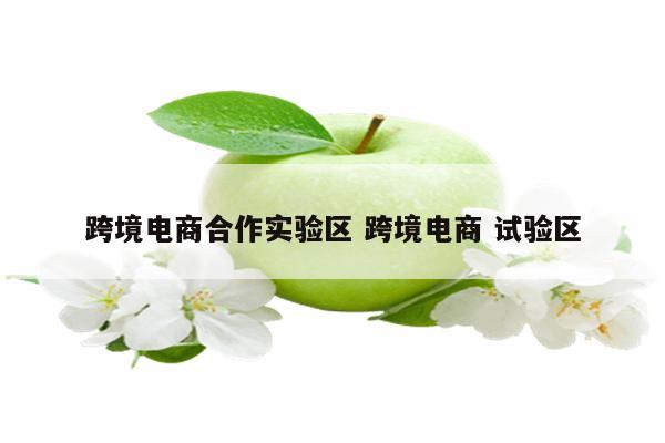 跨境电商合作实验区 跨境电商 试验区