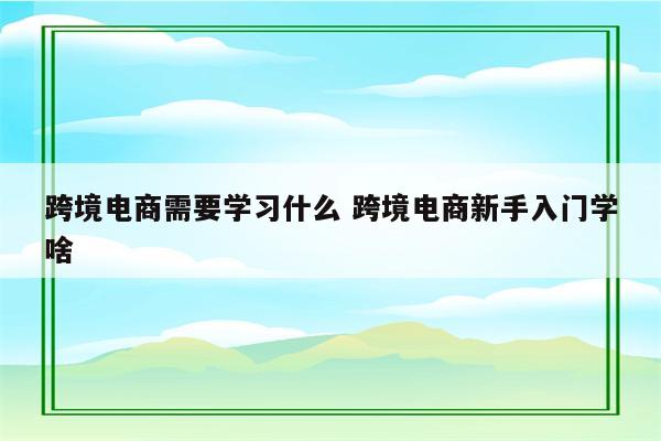 跨境电商需要学习什么 跨境电商新手入门学啥