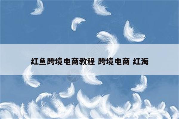 红鱼跨境电商教程 跨境电商 红海