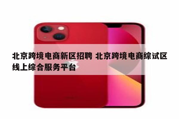 北京跨境电商新区招聘 北京跨境电商综试区线上综合服务平台