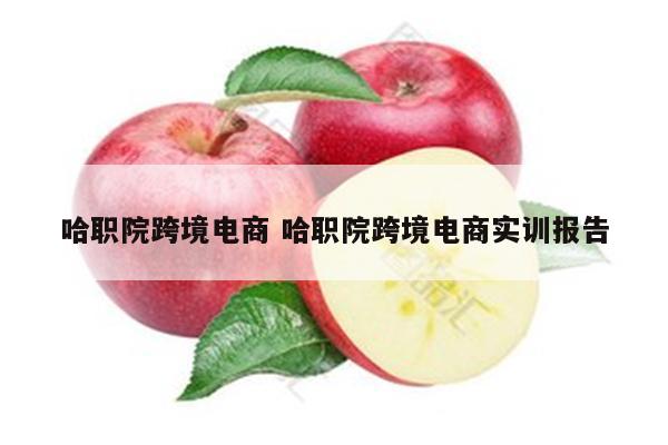哈职院跨境电商 哈职院跨境电商实训报告