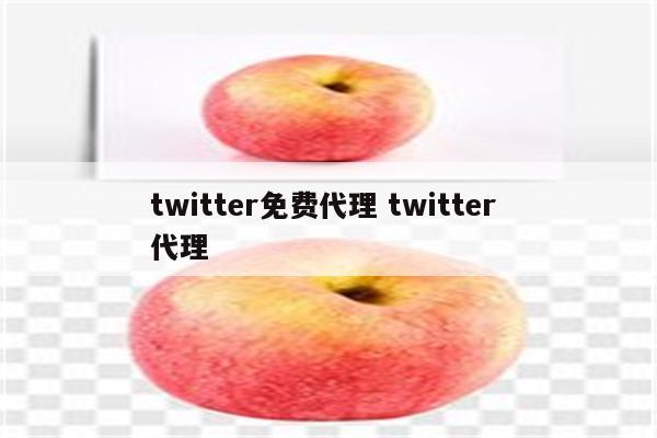 twitter免费代理 twitter 代理