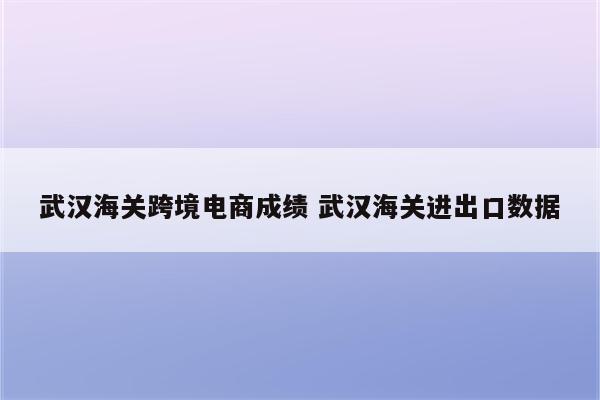 武汉海关跨境电商成绩 武汉海关进出口数据