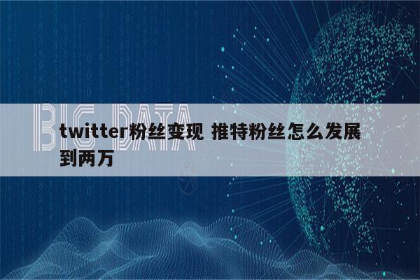 twitter粉丝变现 推特粉丝怎么发展到两万