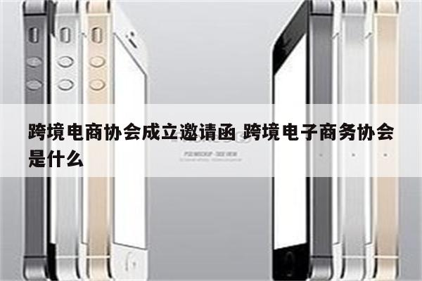 跨境电商协会成立邀请函 跨境电子商务协会是什么