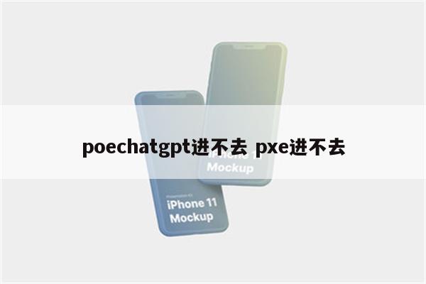 poechatgpt进不去 pxe进不去