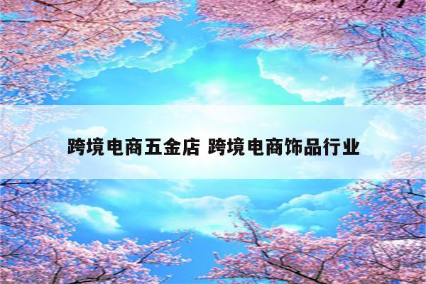 跨境电商五金店 跨境电商饰品行业