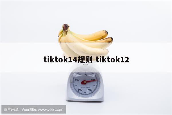 tiktok14规则 tiktok12
