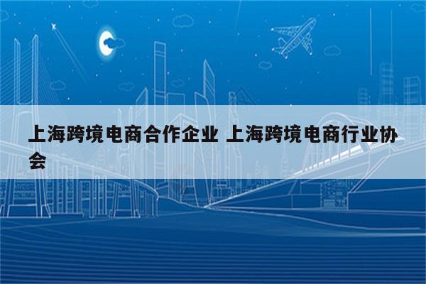 上海跨境电商合作企业 上海跨境电商行业协会