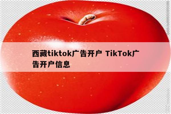 西藏tiktok广告开户 TikTok广告开户信息