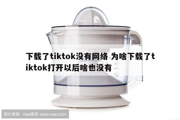 下载了tiktok没有网络 为啥下载了tiktok打开以后啥也没有