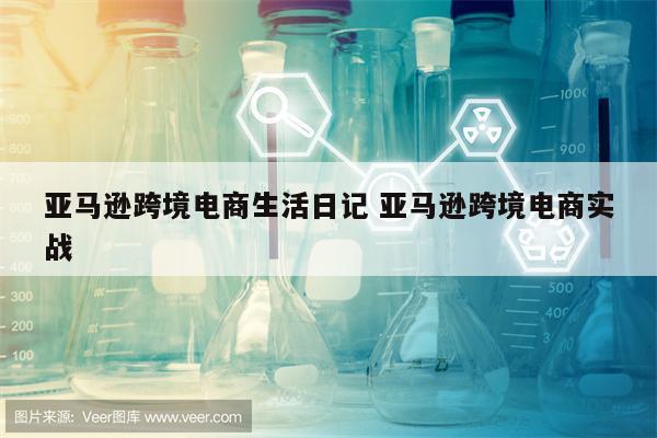 亚马逊跨境电商生活日记 亚马逊跨境电商实战
