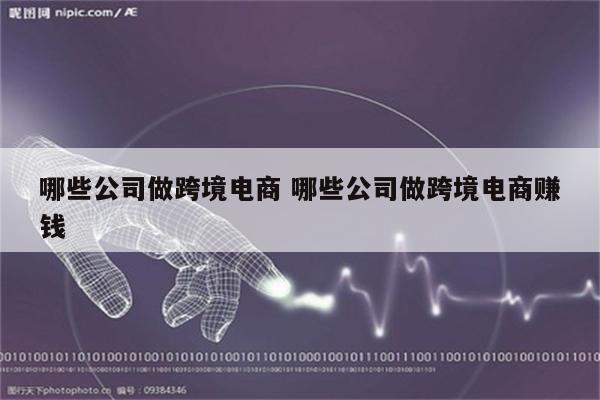 哪些公司做跨境电商 哪些公司做跨境电商赚钱