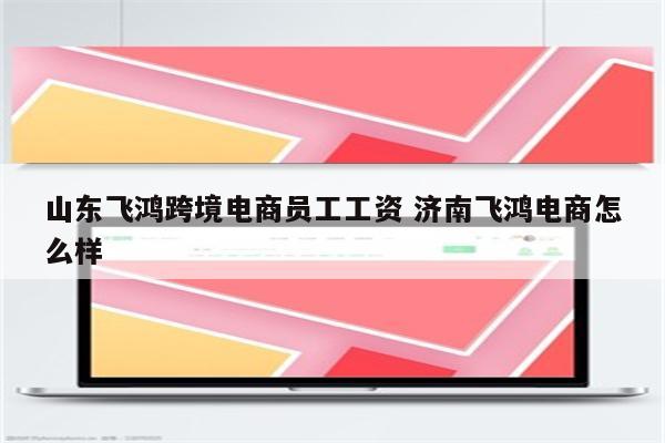 山东飞鸿跨境电商员工工资 济南飞鸿电商怎么样