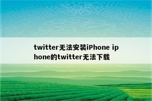 twitter无法安装iPhone iphone的twitter无法下载