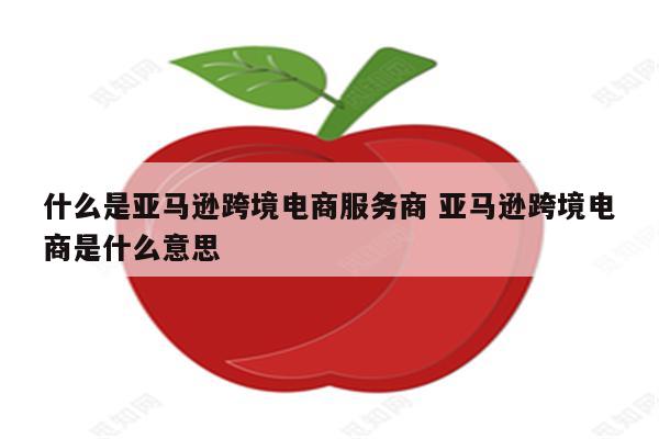 什么是亚马逊跨境电商服务商 亚马逊跨境电商是什么意思