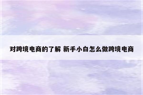对跨境电商的了解 新手小白怎么做跨境电商