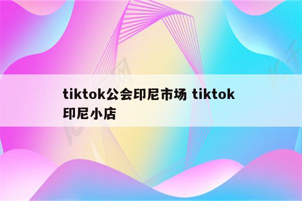 tiktok公会印尼市场 tiktok 印尼小店