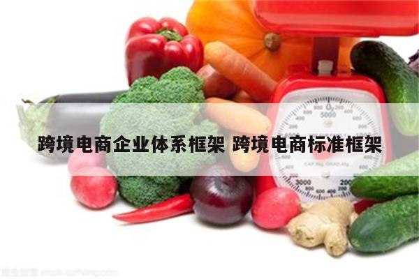跨境电商企业体系框架 跨境电商标准框架
