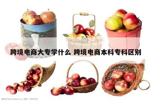 跨境电商大专学什么 跨境电商本科专科区别