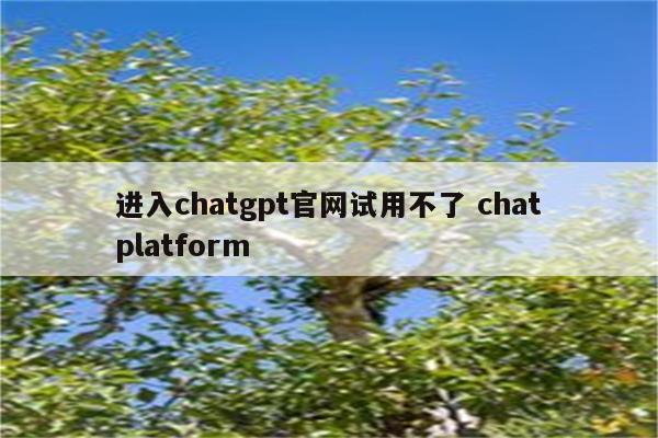 进入chatgpt官网试用不了 chatplatform